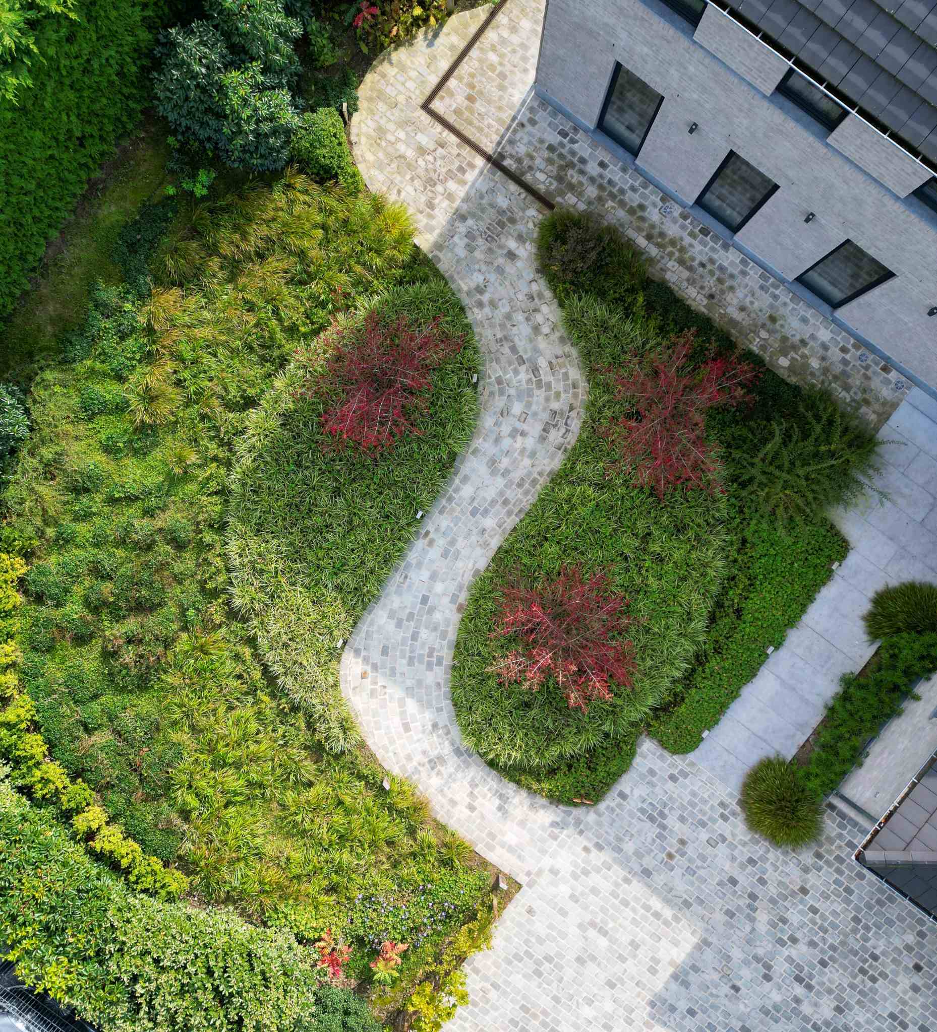 Jardin aménagé par Francotte Jardins