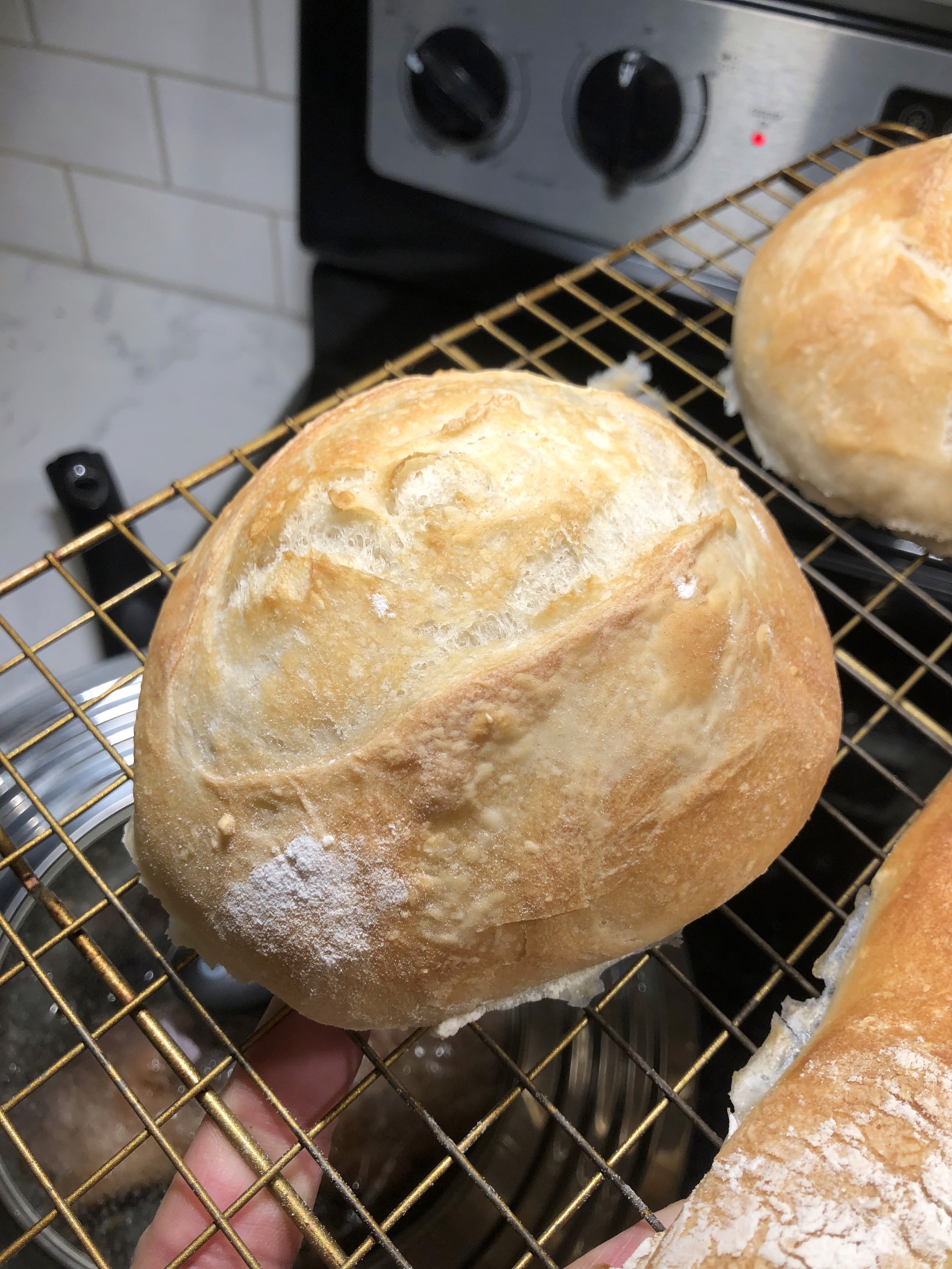 Freshly baked bread rol
