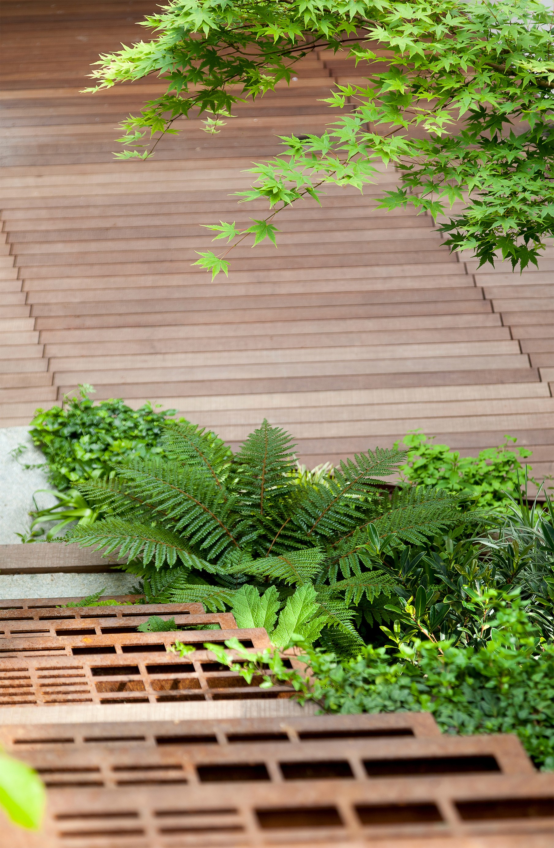 dettaglio giardino invernale 