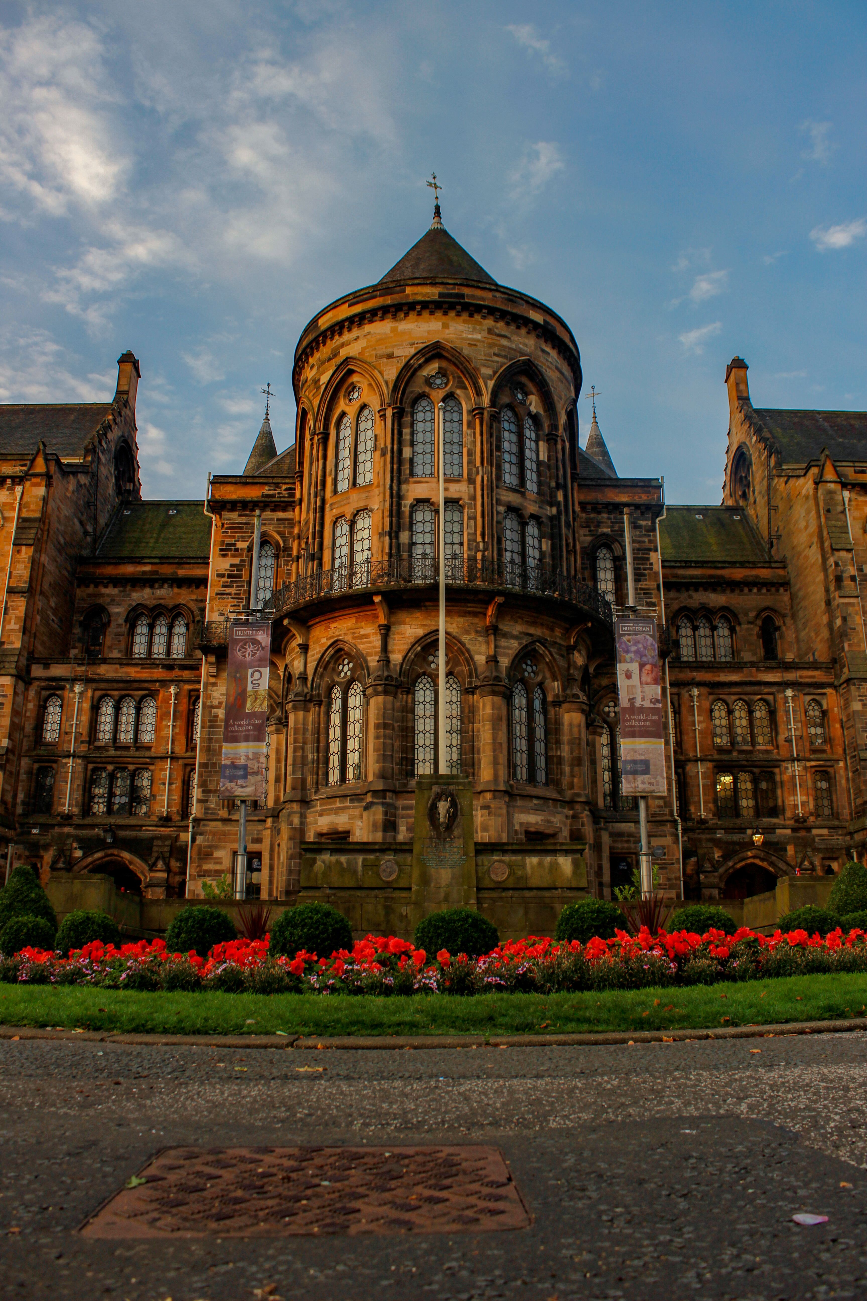 Blueberries Glasgow