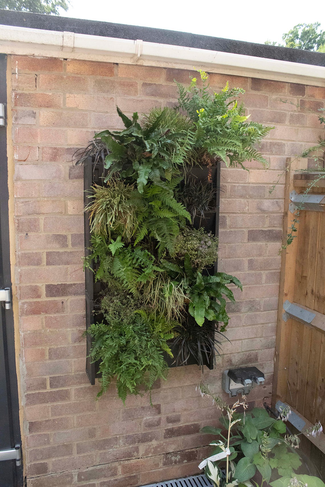 A vertical garden with lush green plants mounted on a brick wall, enhancing the outdoor space.