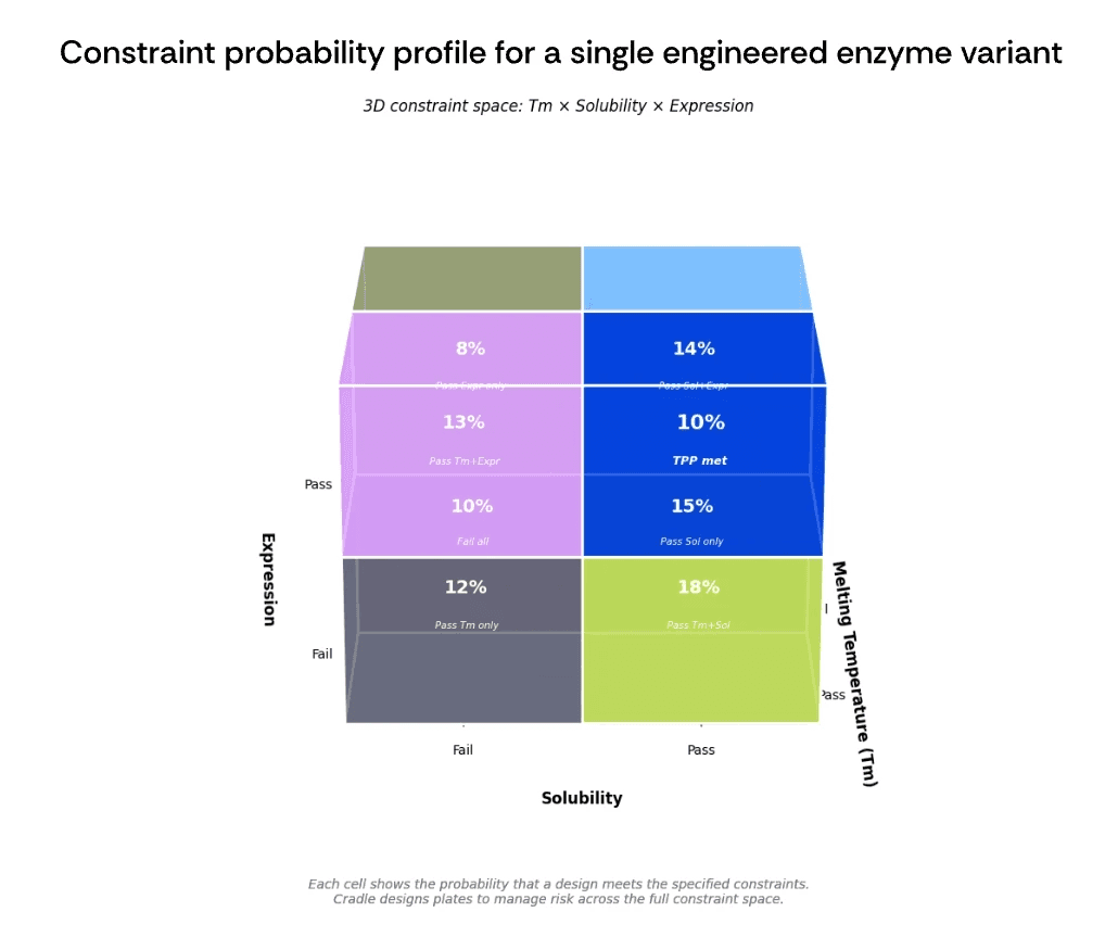 Constraint probability profile for a single engineered enzyme variant
