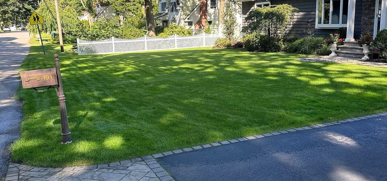 Striped lawn with a paver walkway
