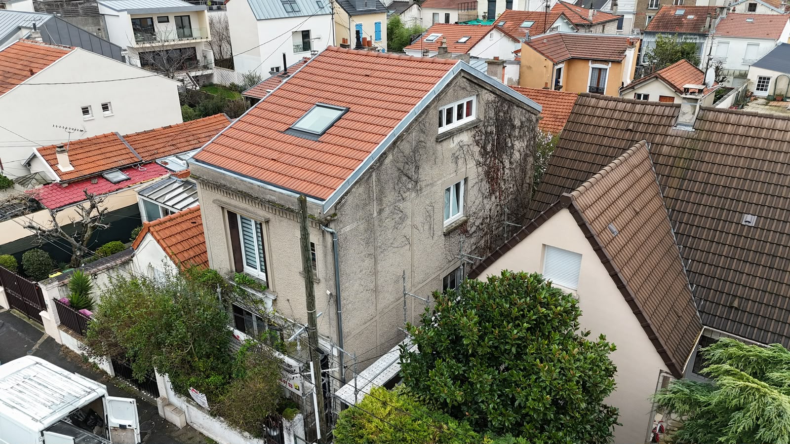 détail des mousses
