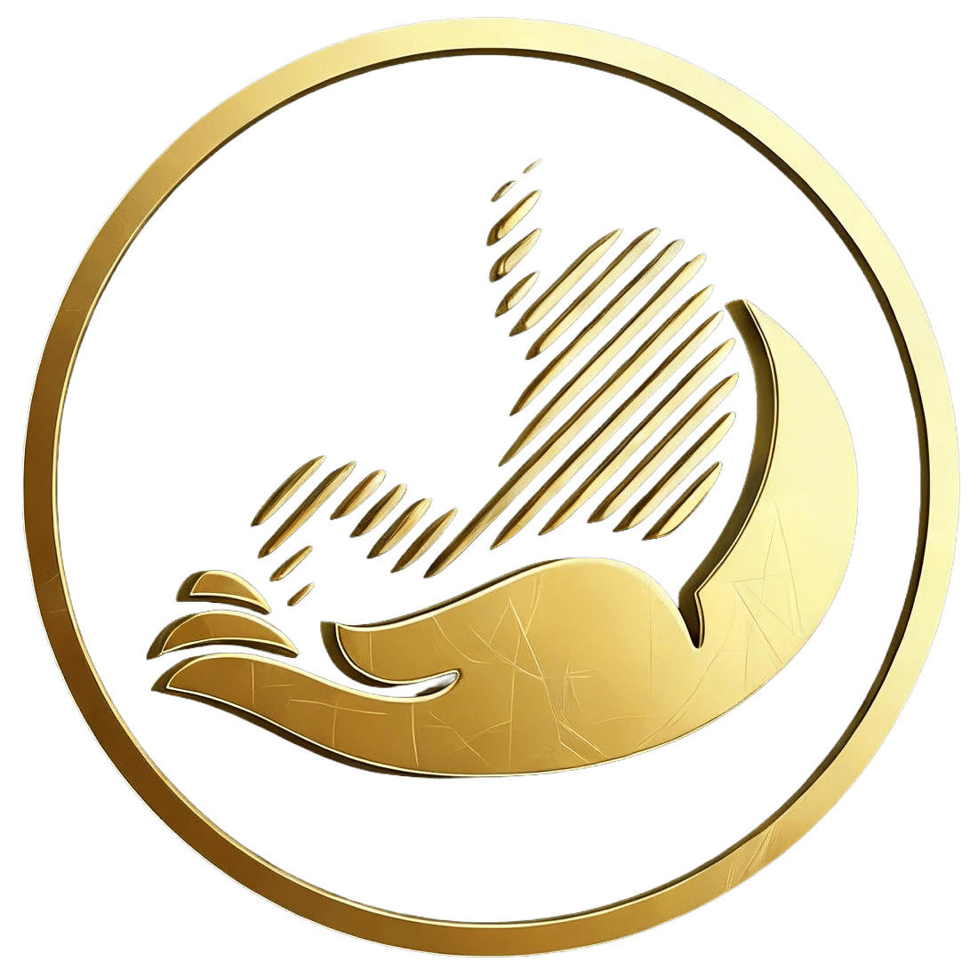 Logo Dr. Enio Bragagnolo.