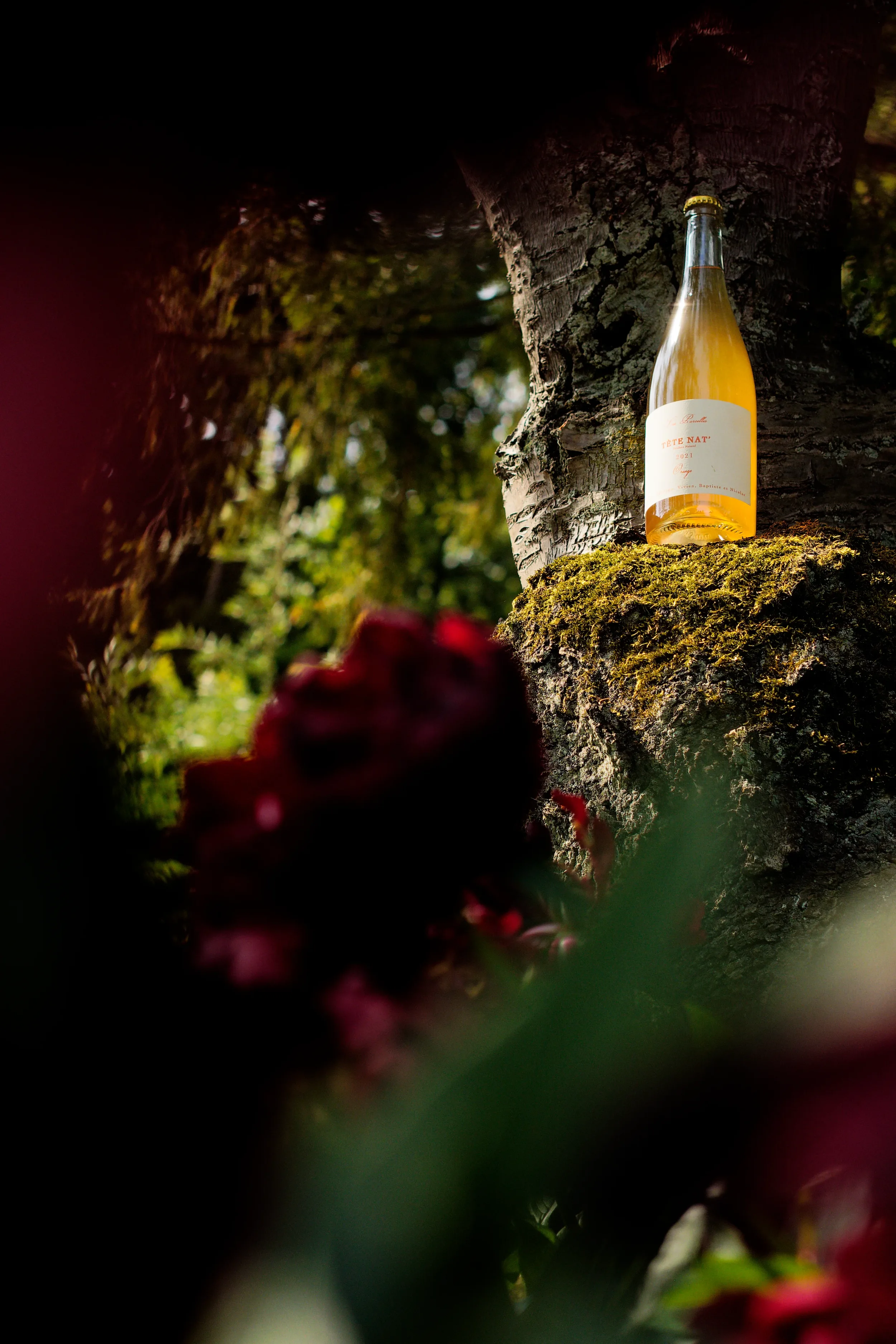 Photographies sensibles et naturelles mettant en valeur les bouteilles de vin nature vendues par Paris 90 à Copenhague