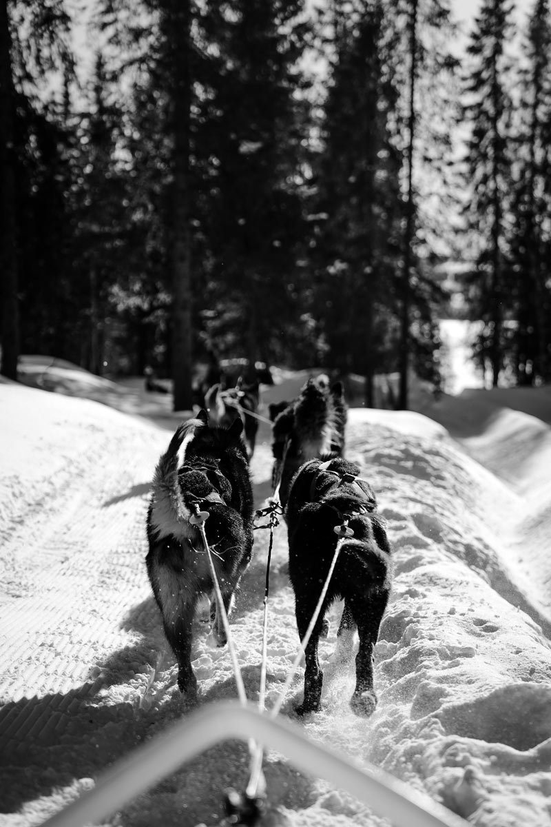 Premium corporate jet travel to Oslo Norway - Nordic business aviation