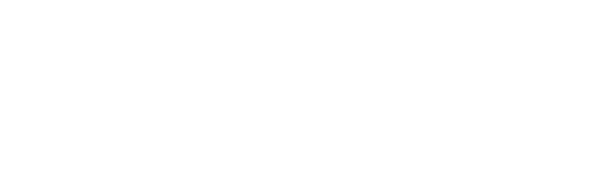 Perform Template Logo