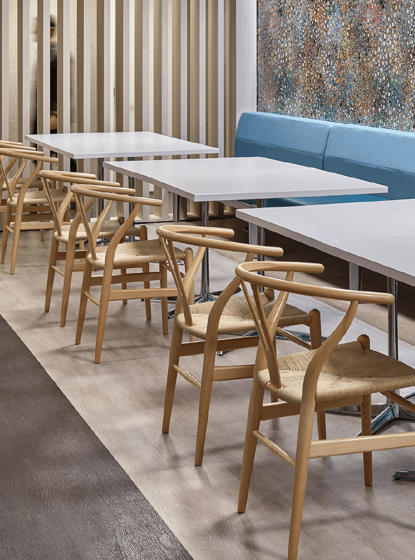 Stylish contemporary chairs in a restaurant setting