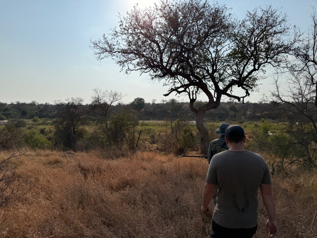 deux personnes à pieds en safari