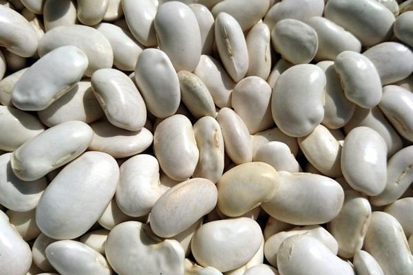 Fagioli bianchi di Spagna