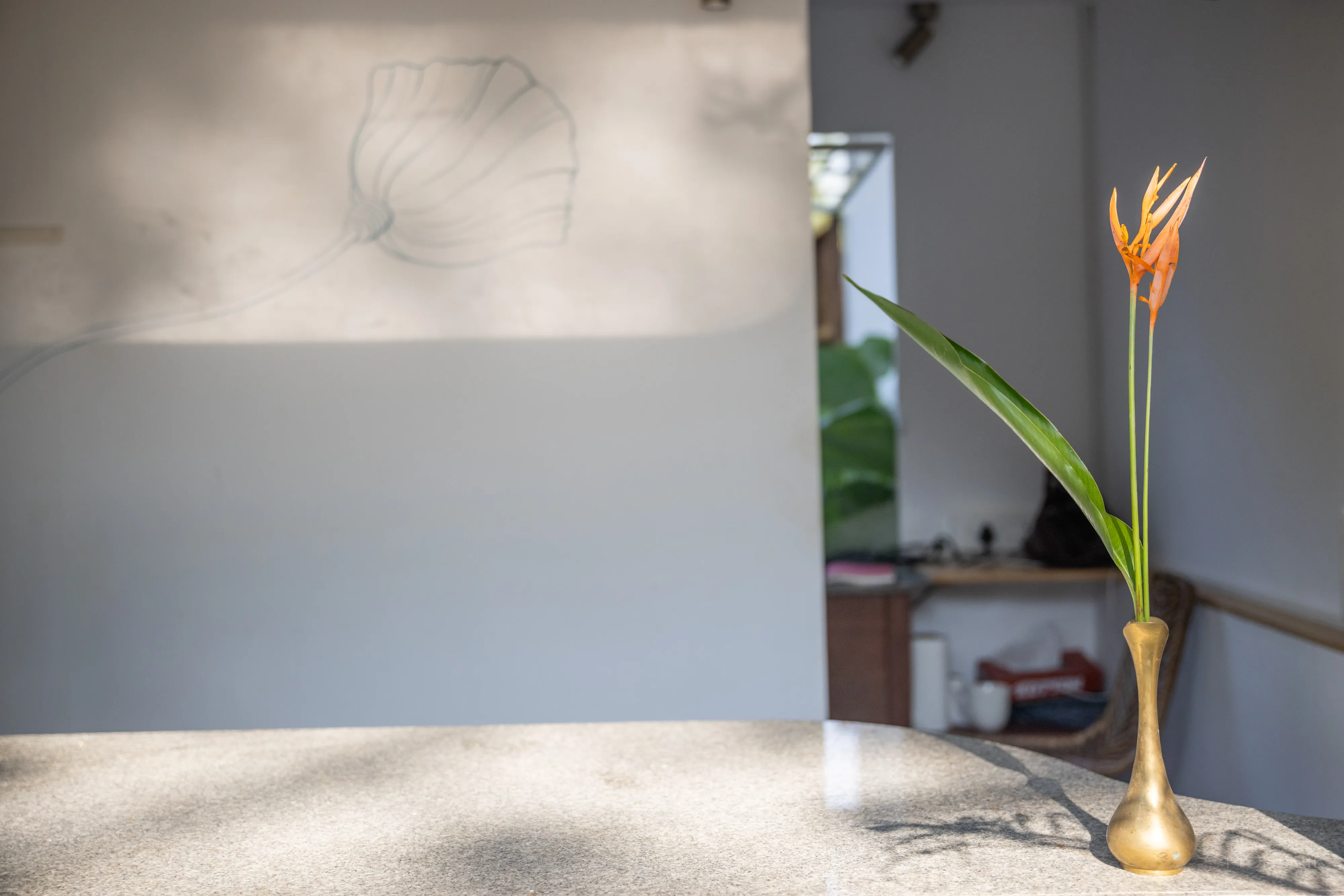 Morning light and heliconia at Jaali Blue