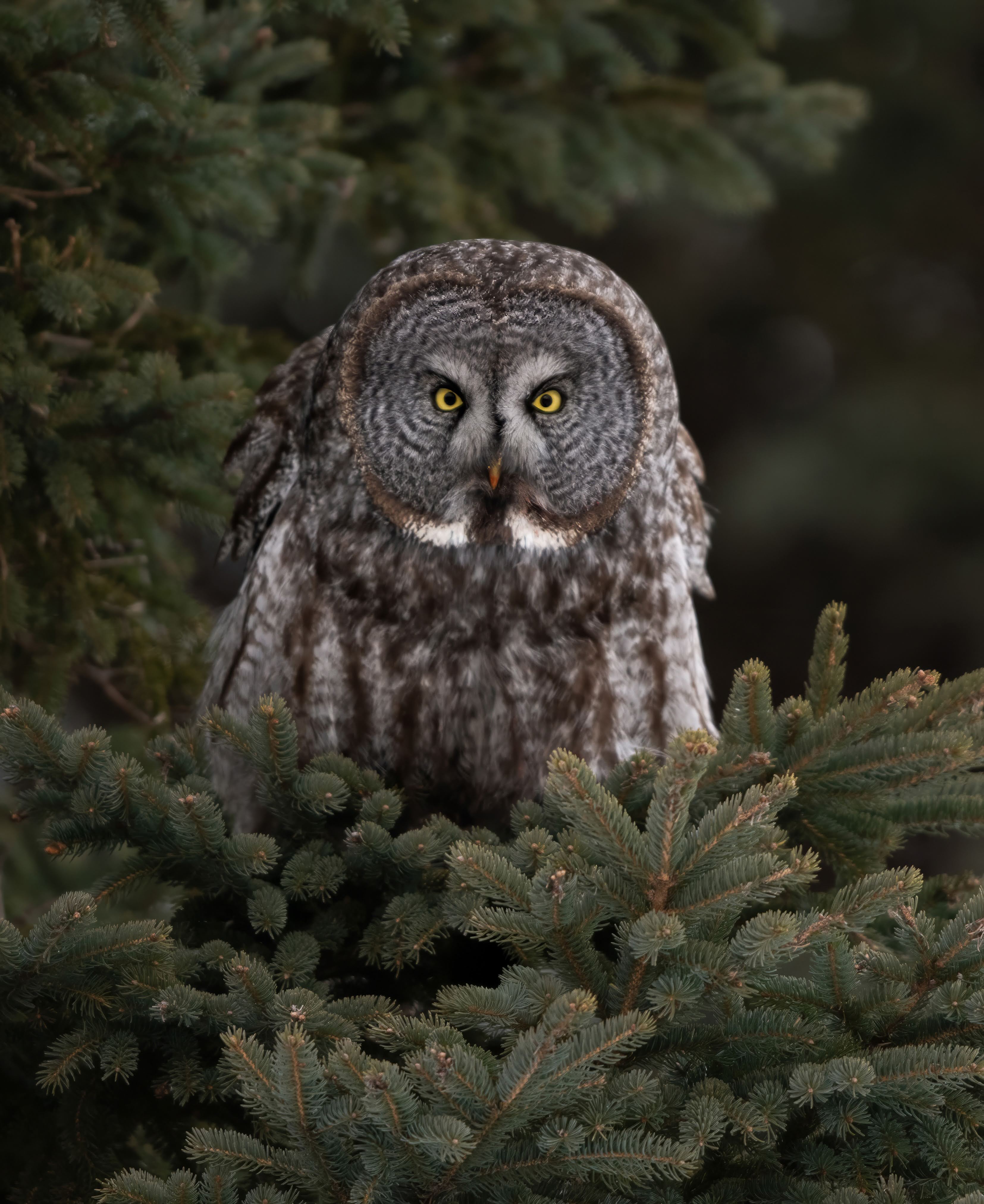Photo of Irene in a neon scene