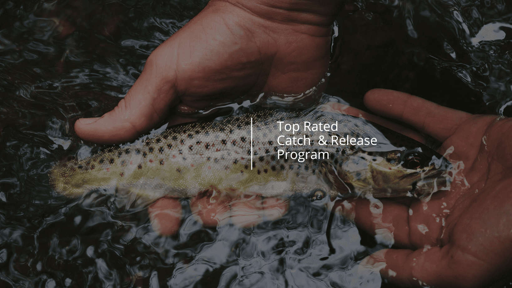 Top Rated Catch & Release Program