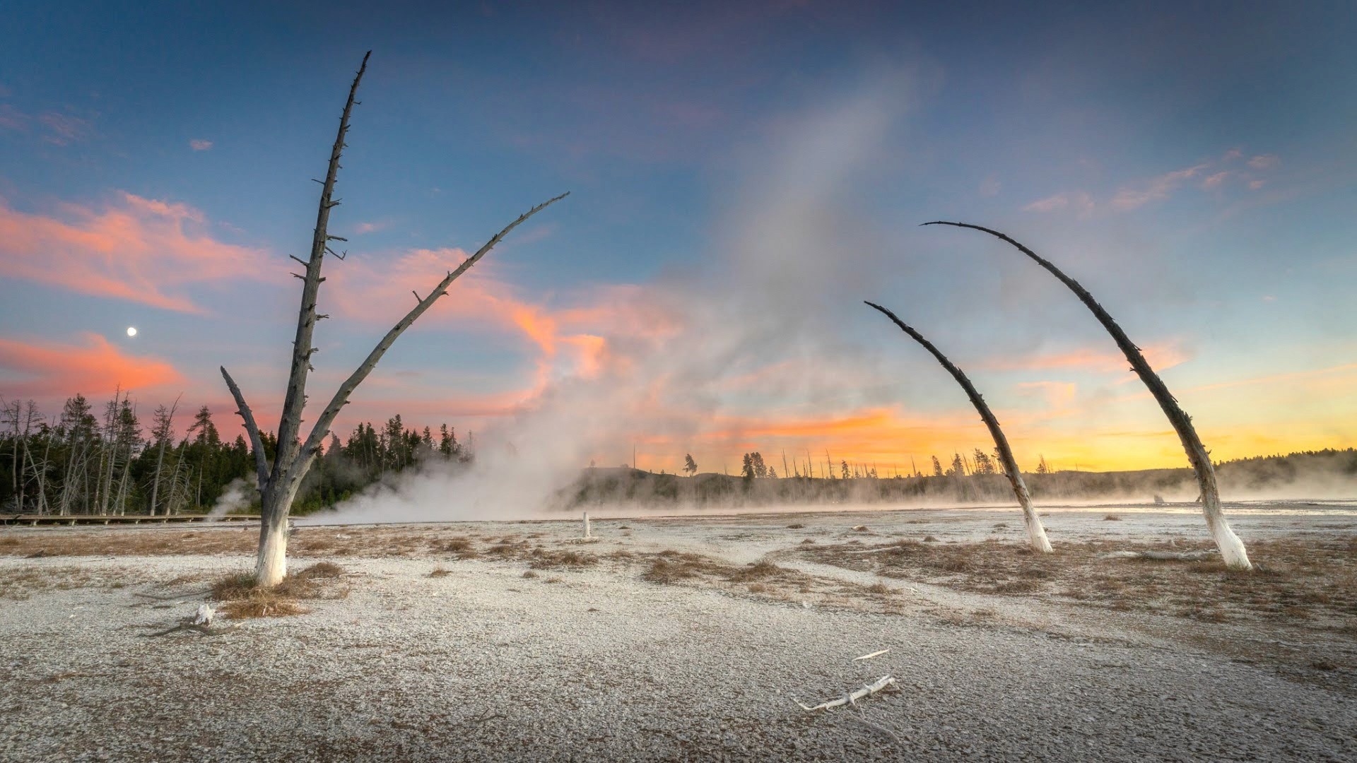 Paysage géothermique du parc national de Yellowstone au lever du jour