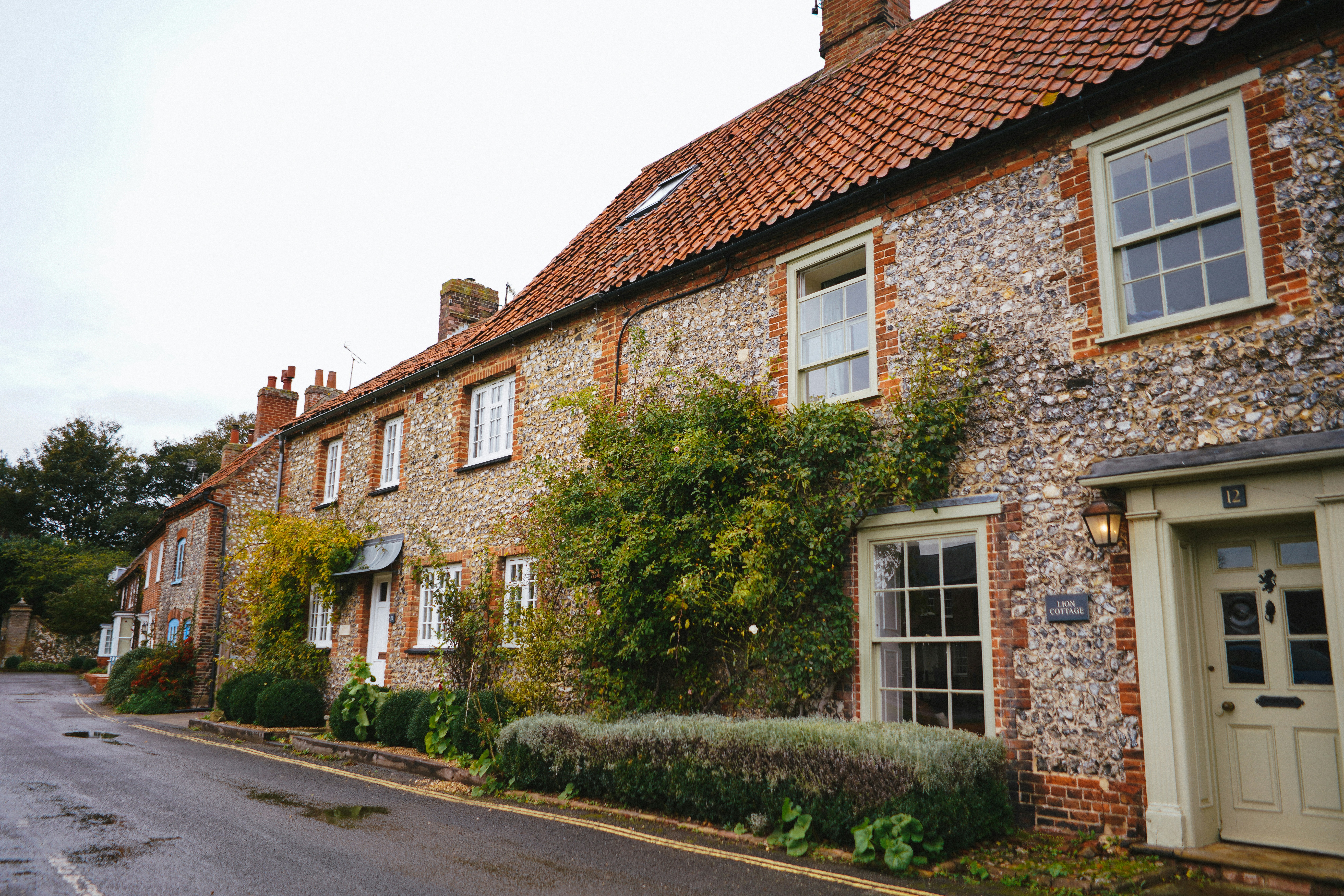 row of old brick houses with white front doors and slightly overgrow greenery on the side