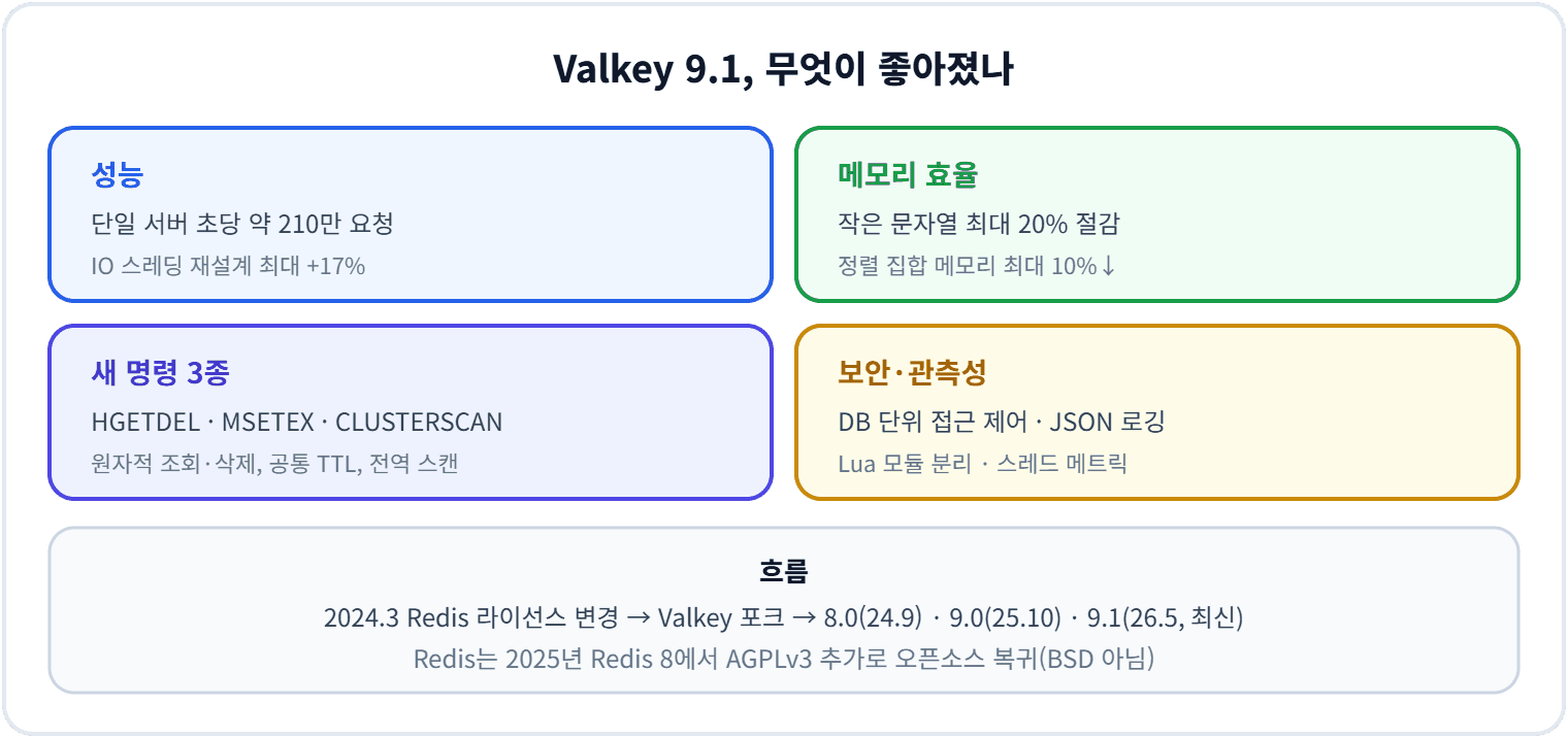 Valkey 9.1, 무엇이 좋아졌나
