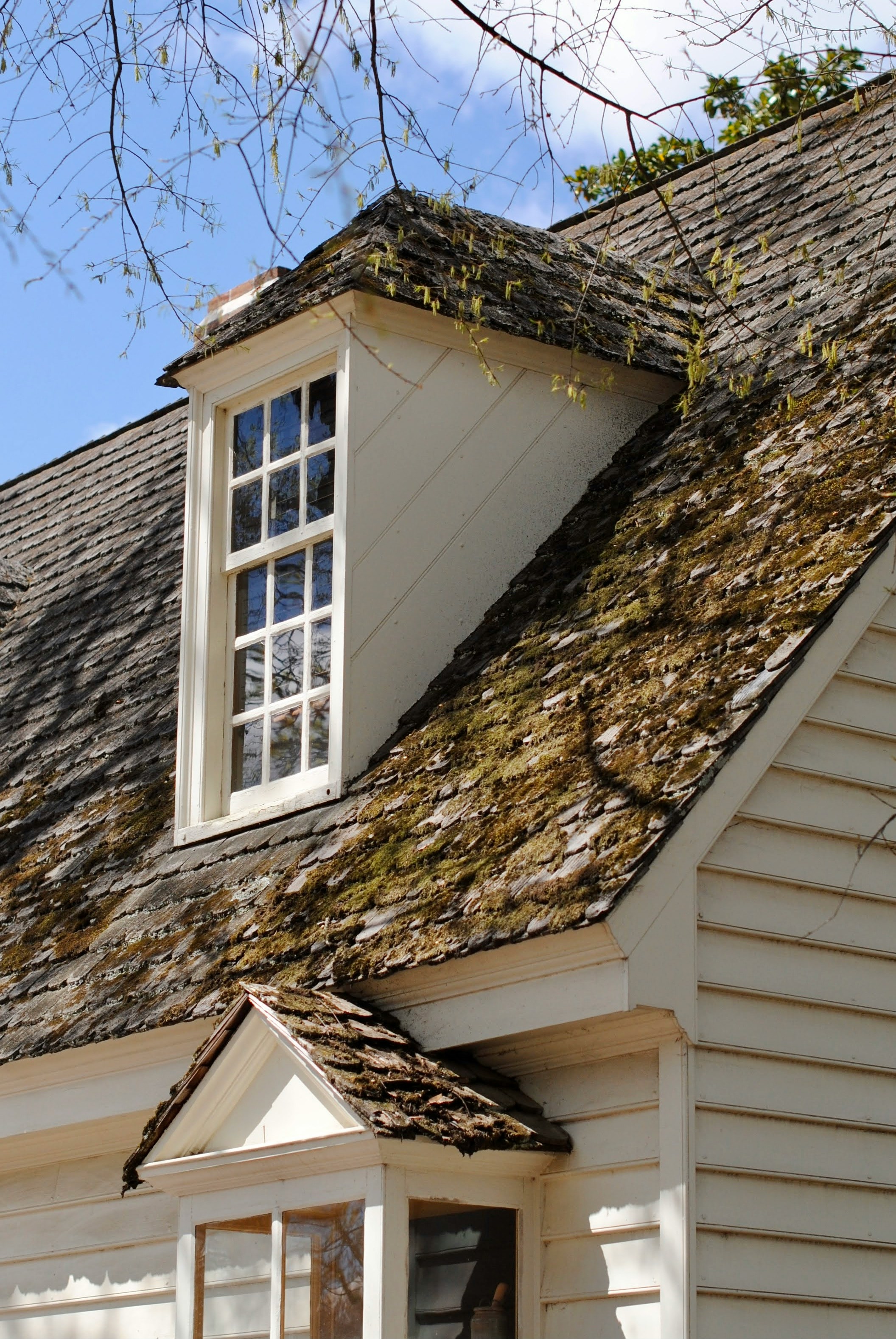 Siding Repair Bellevue: Expert Solutions for Your Home