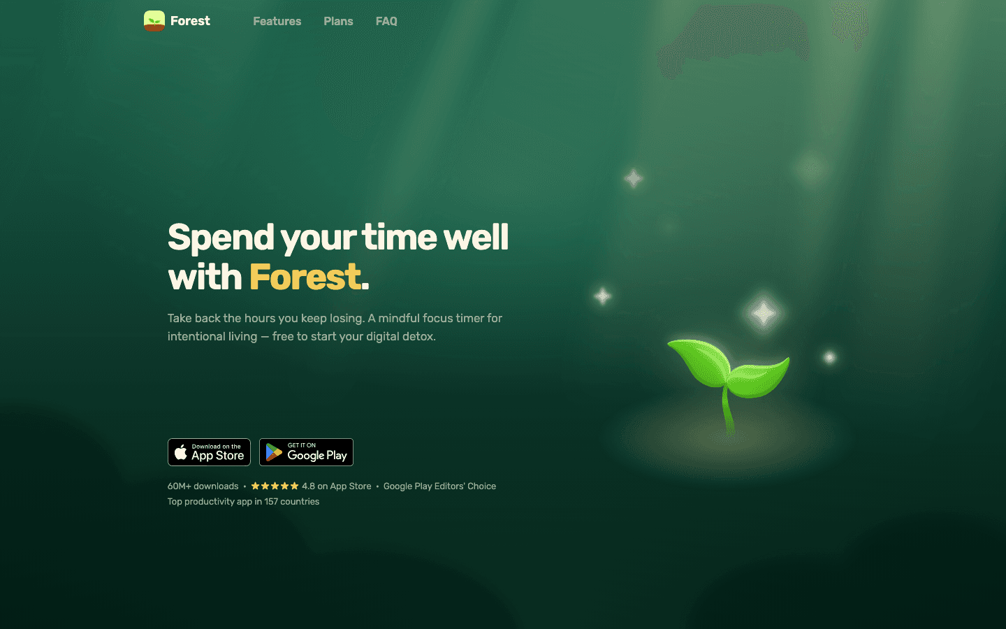 Forest focus timer