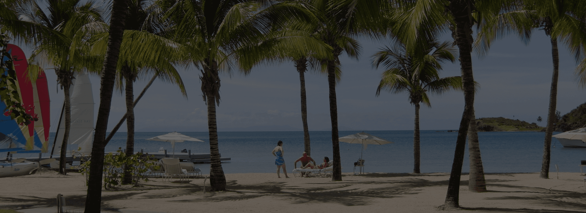 Real Estate House Image Background