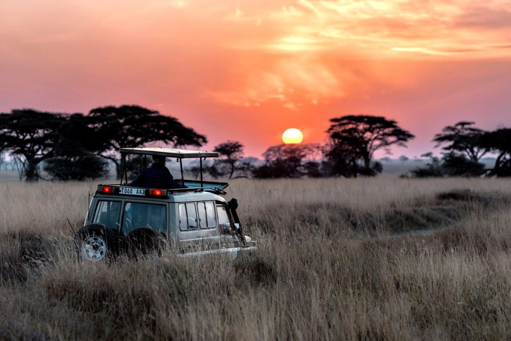 jeep safari at sunset, tanzania