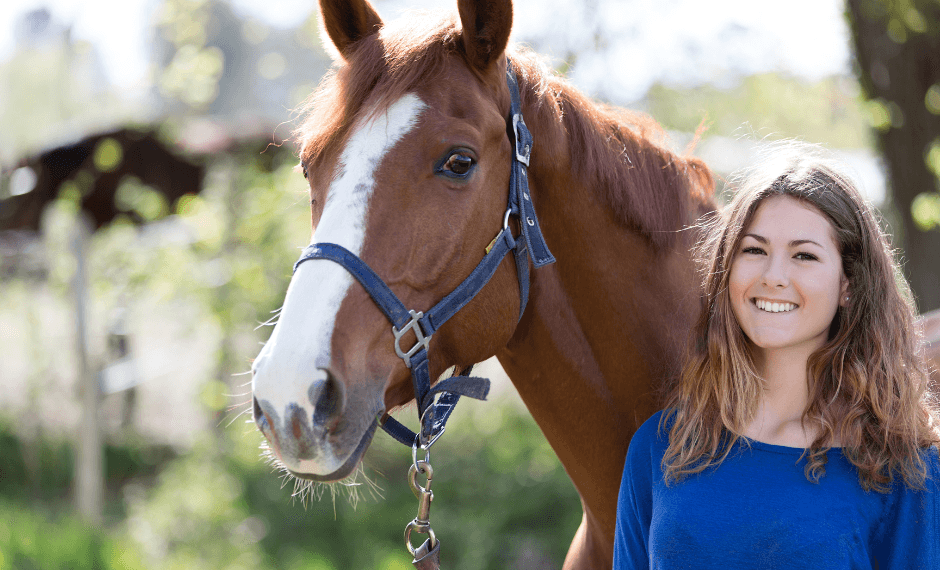 mettre son cheval en demi-pension