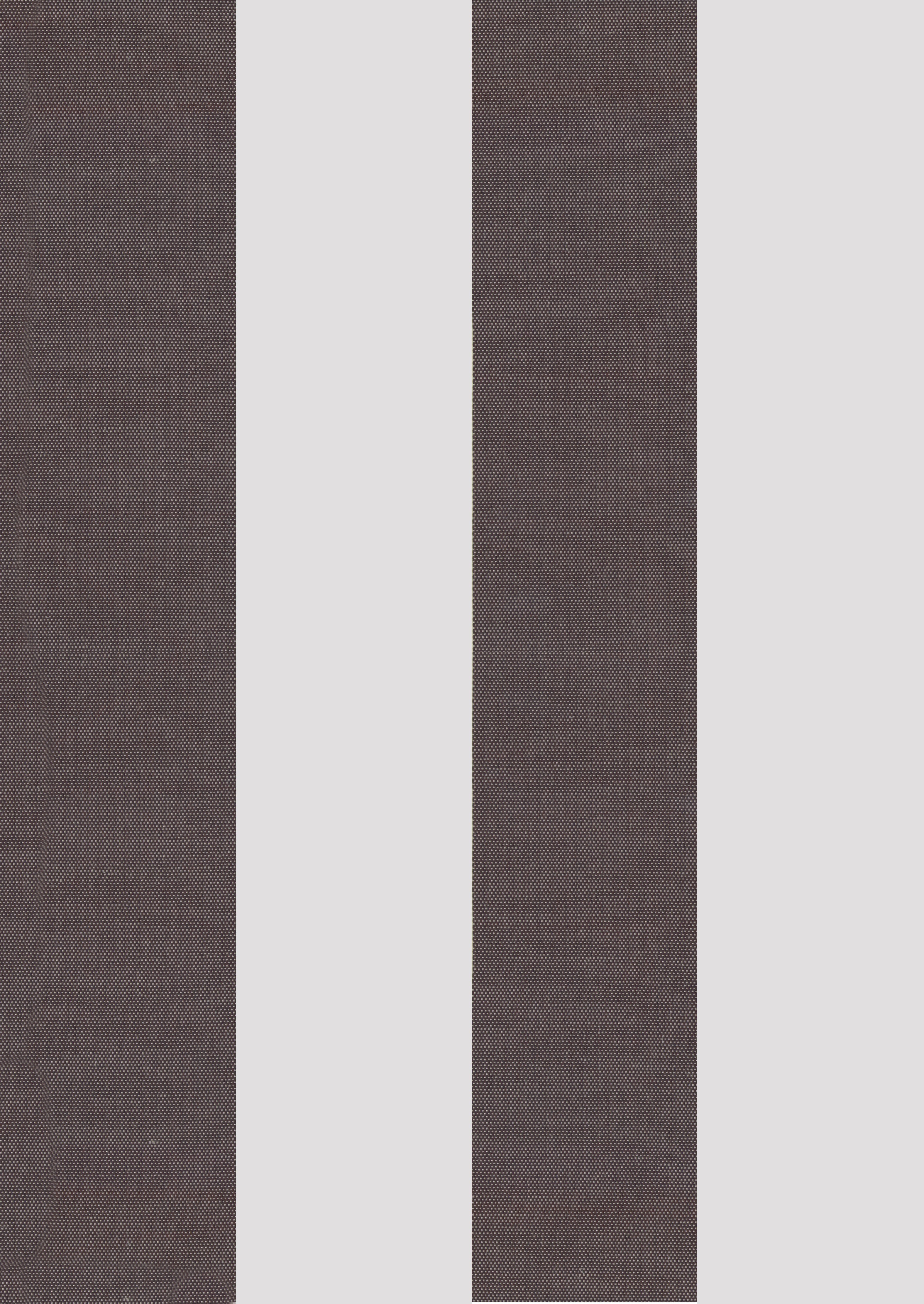 Cargo-import-tende-da-sole