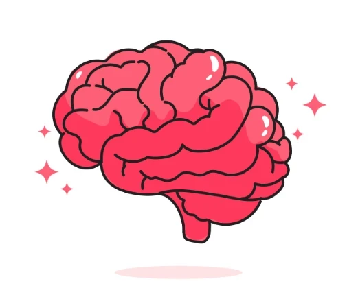 brain clipart