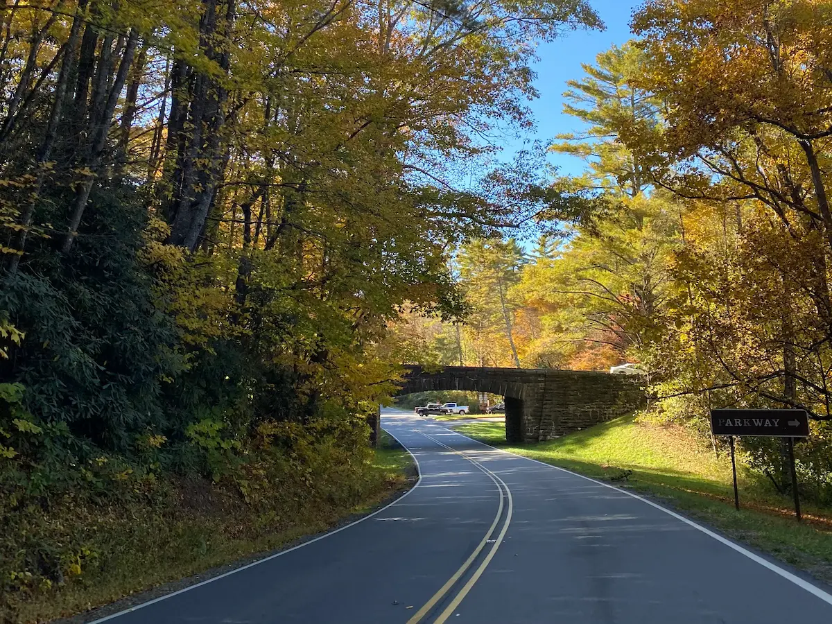 A winding road passes beneath a historic stone bridge along the Blue Ridge Parkway, surrounded by colorful autumn trees beneath a bright blue sky, symbolizing resilience and the journey forward.