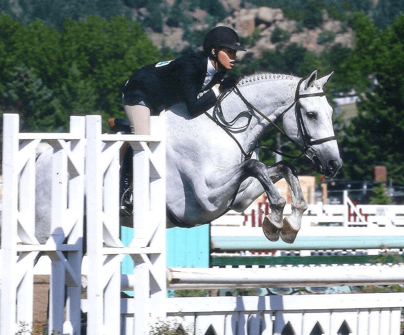 Image of Christine jumping a horse over a fence