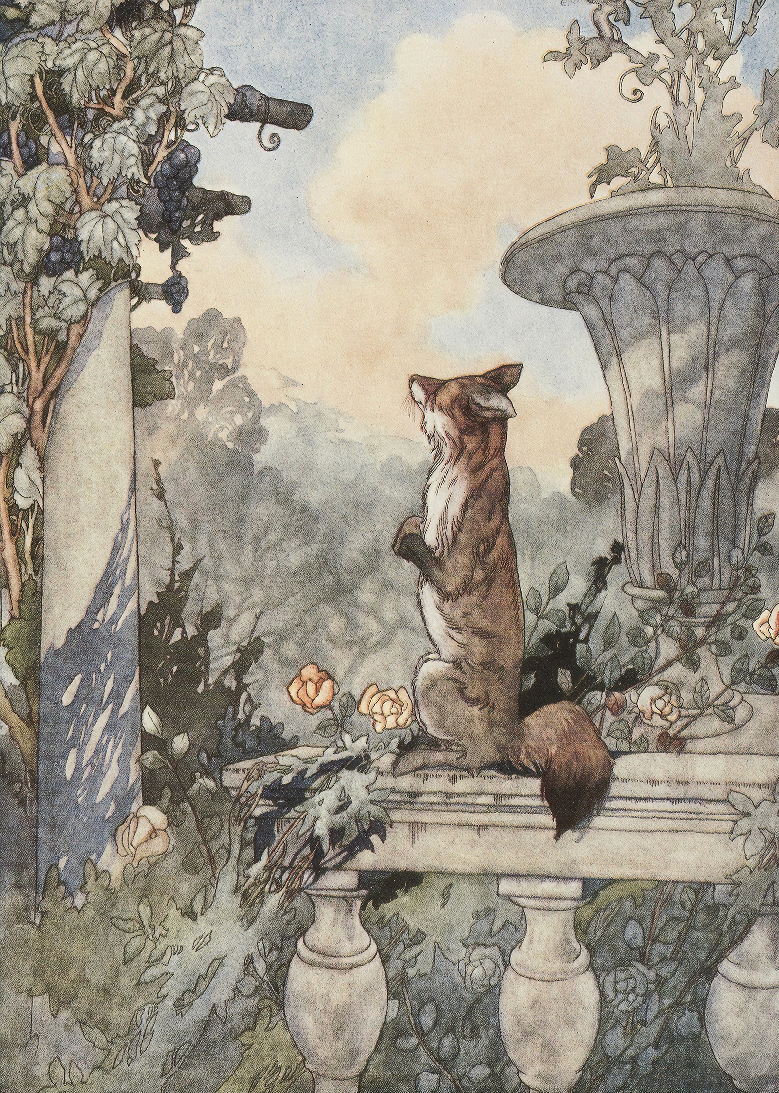 An artistic depiction of a fox gazing at a vine of grapes in a dreamy garden