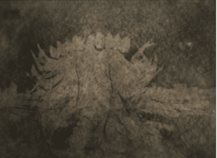 herd of sheep on road painting