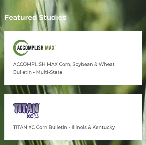 Master window cleaner