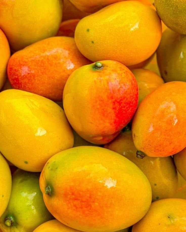 Fresh tropical mangoes