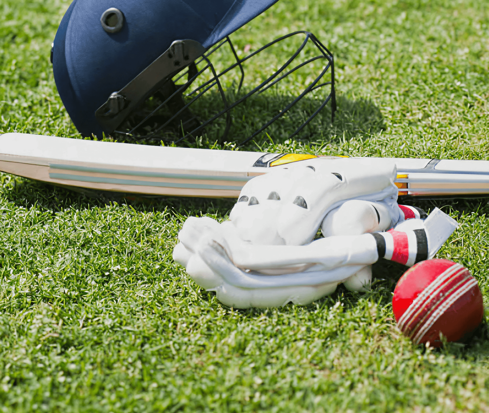 Image of a personal hobby