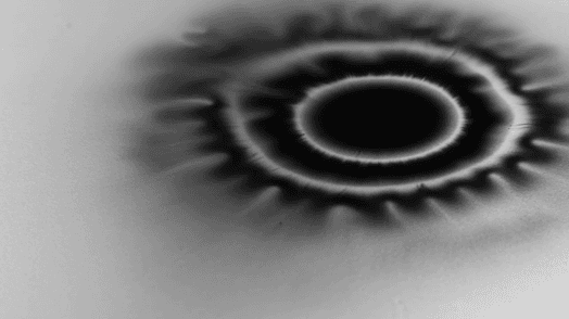 A black and white photo of a splash pattern.