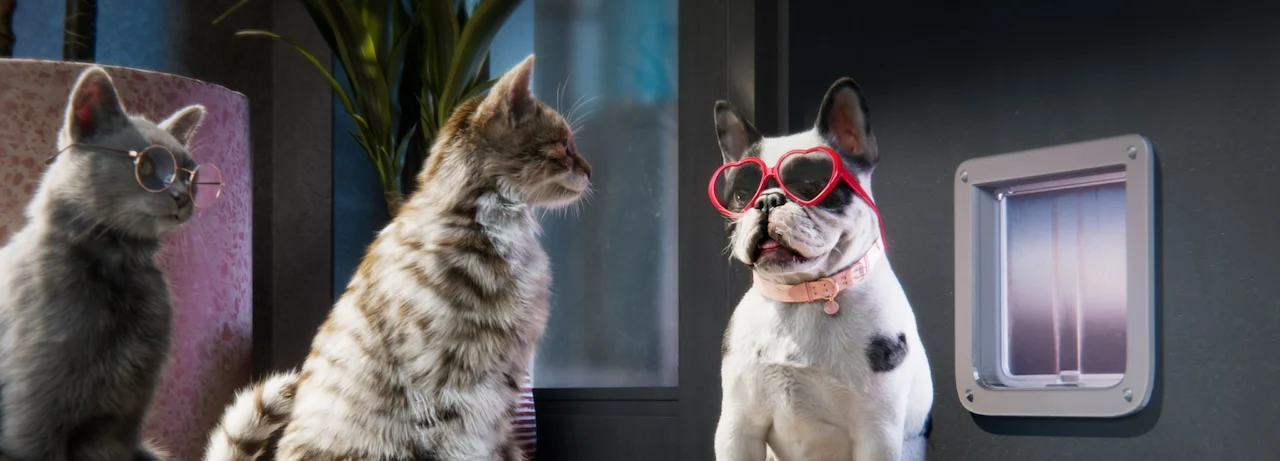 A cat and a dog wearing sunglasses sitting near a smart pet door, featured as characters in the MyPlace campaign, adding a playful touch to the ‘Get in touch’ support page.