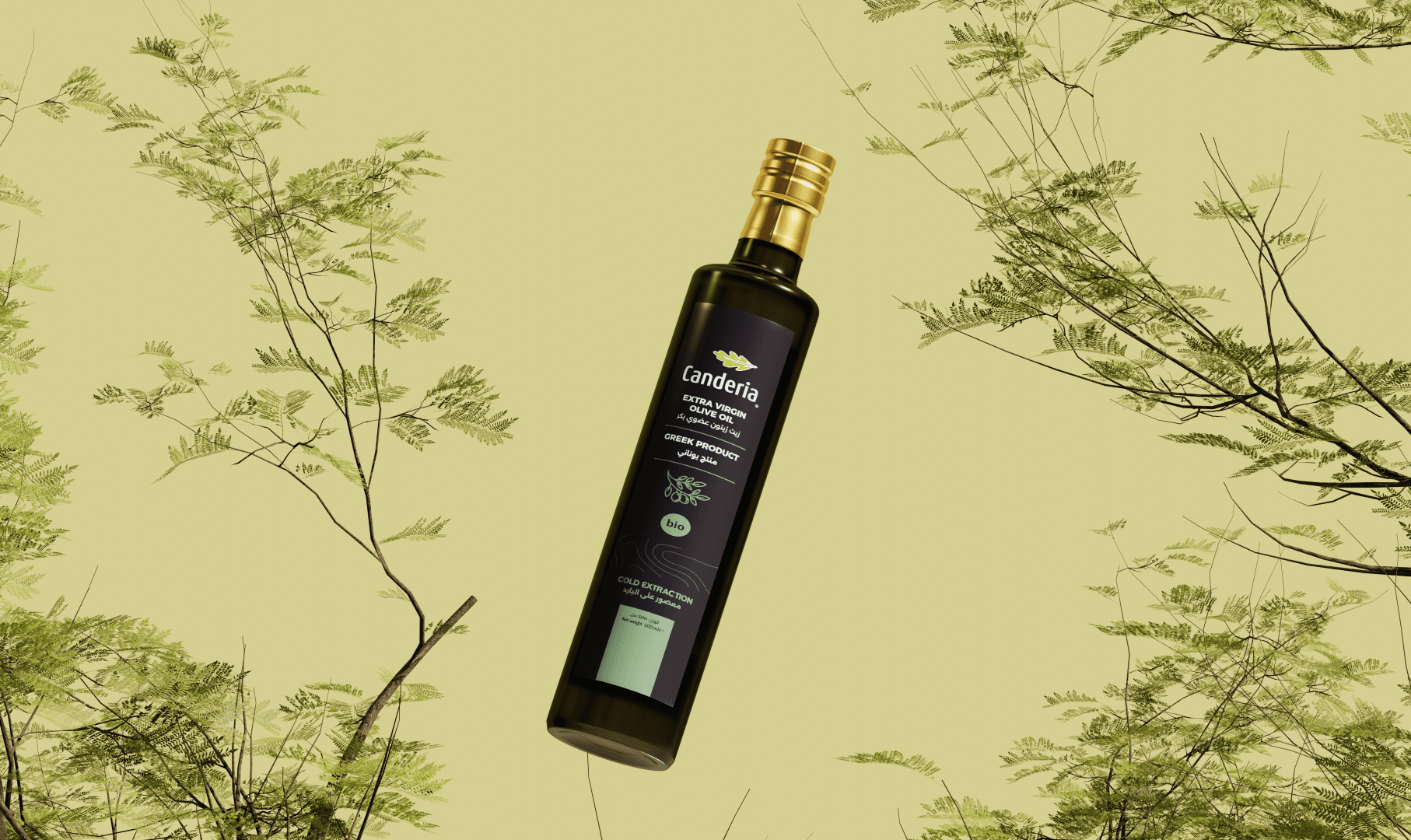 Canderia Olive Oile 3D product modeling and product design