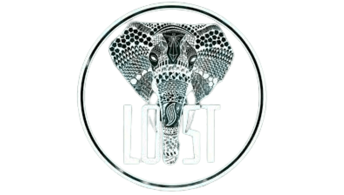 lost logo