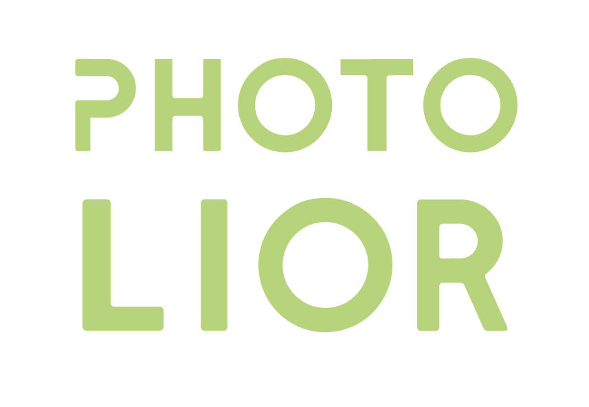 Surfing logo