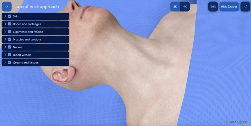 Lateral neck approach for penetrating trauma