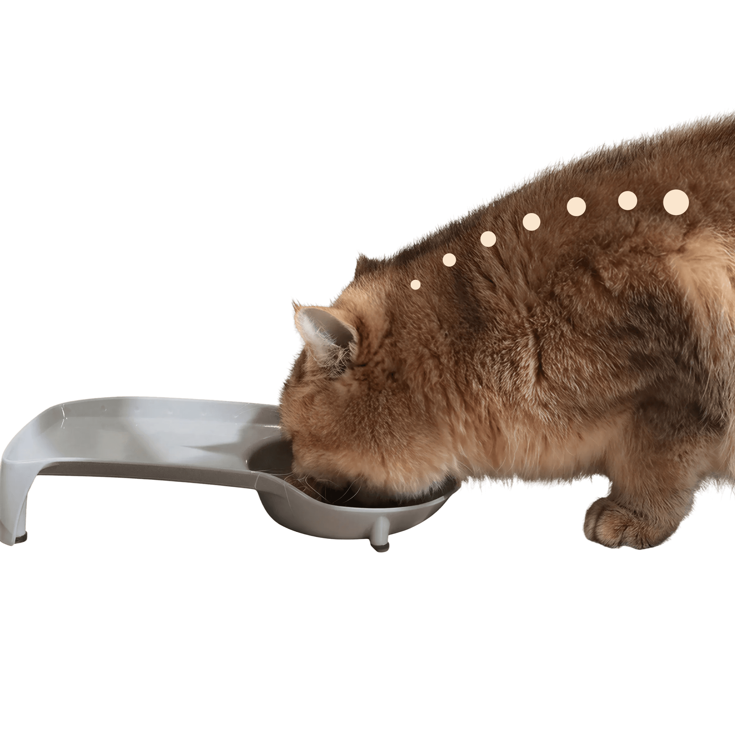 a black woman wearing the white wireless headphone