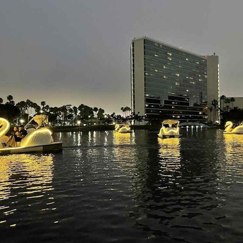 长滩:彩虹泻湖天鹅船租赁门票