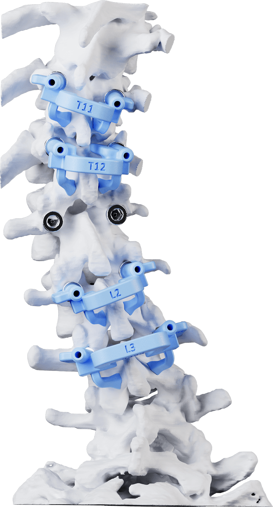 Bio-Mechanical Engineering