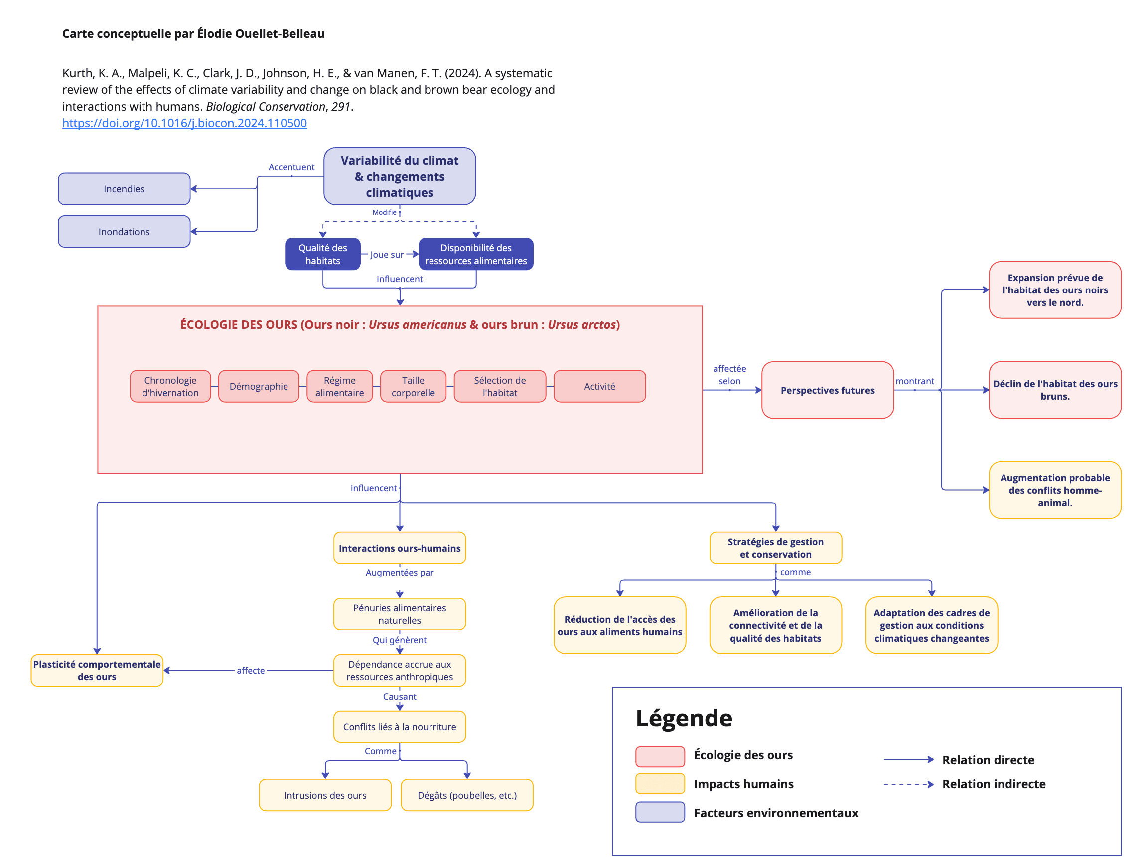 Carte conceptuelle de Kurth & al. 2024. A systematic review of the effects of climate variability and change on black and brown bear ecology and interactions with humans. Biological Conservation, 291. par Élodie Ouellet-Belleau