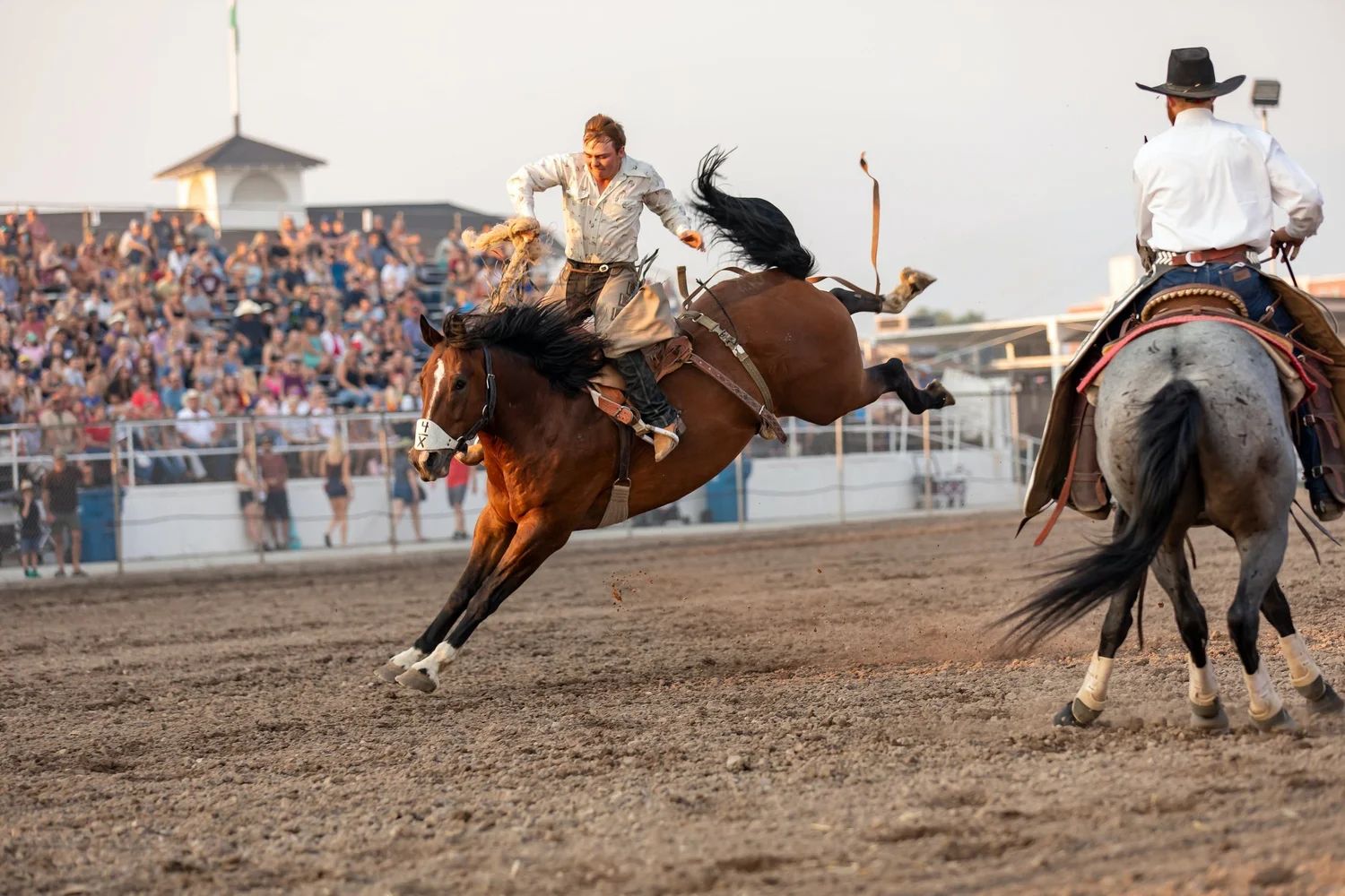 Western Montana Fair