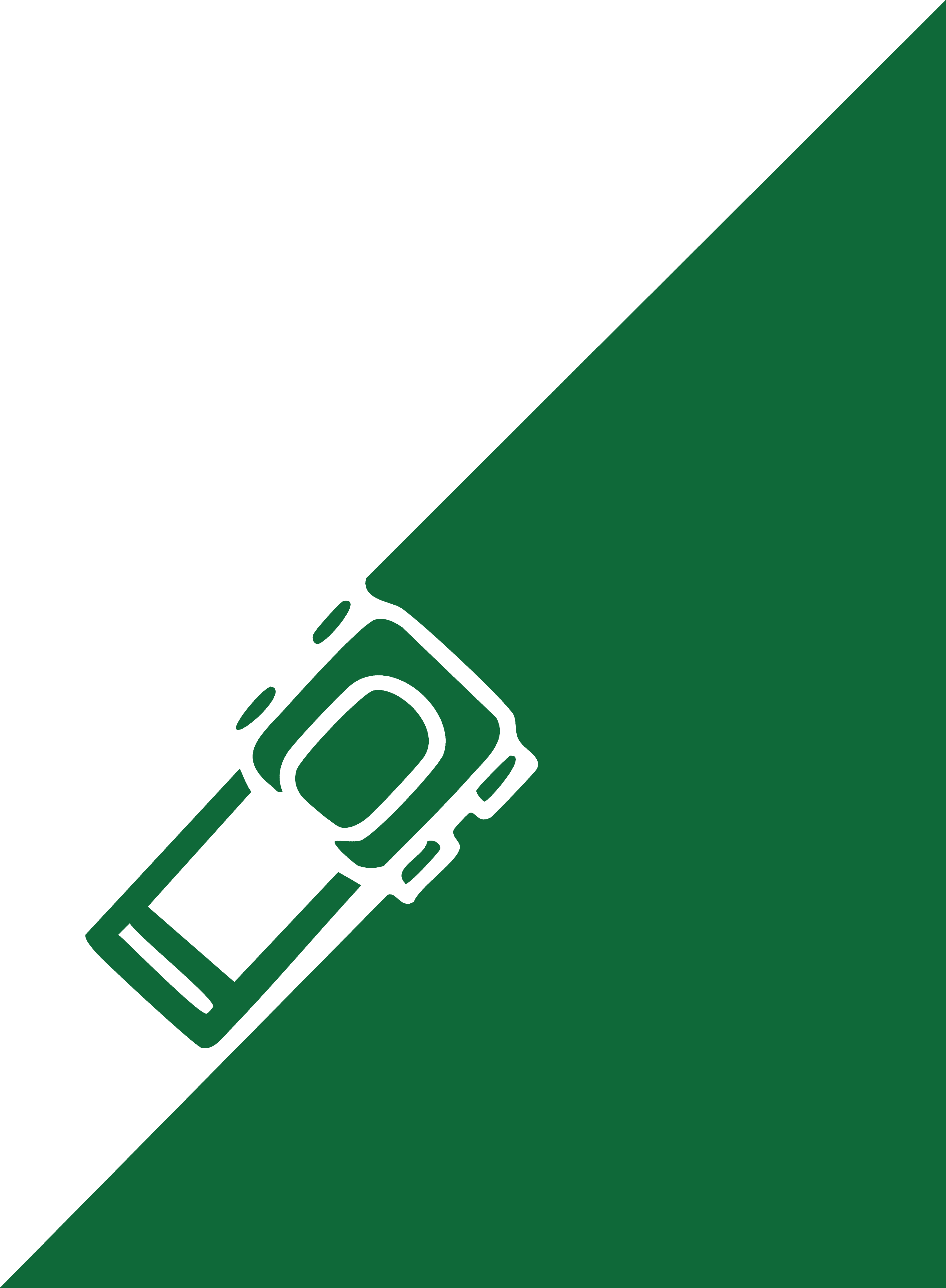 Final logo and visual identity system