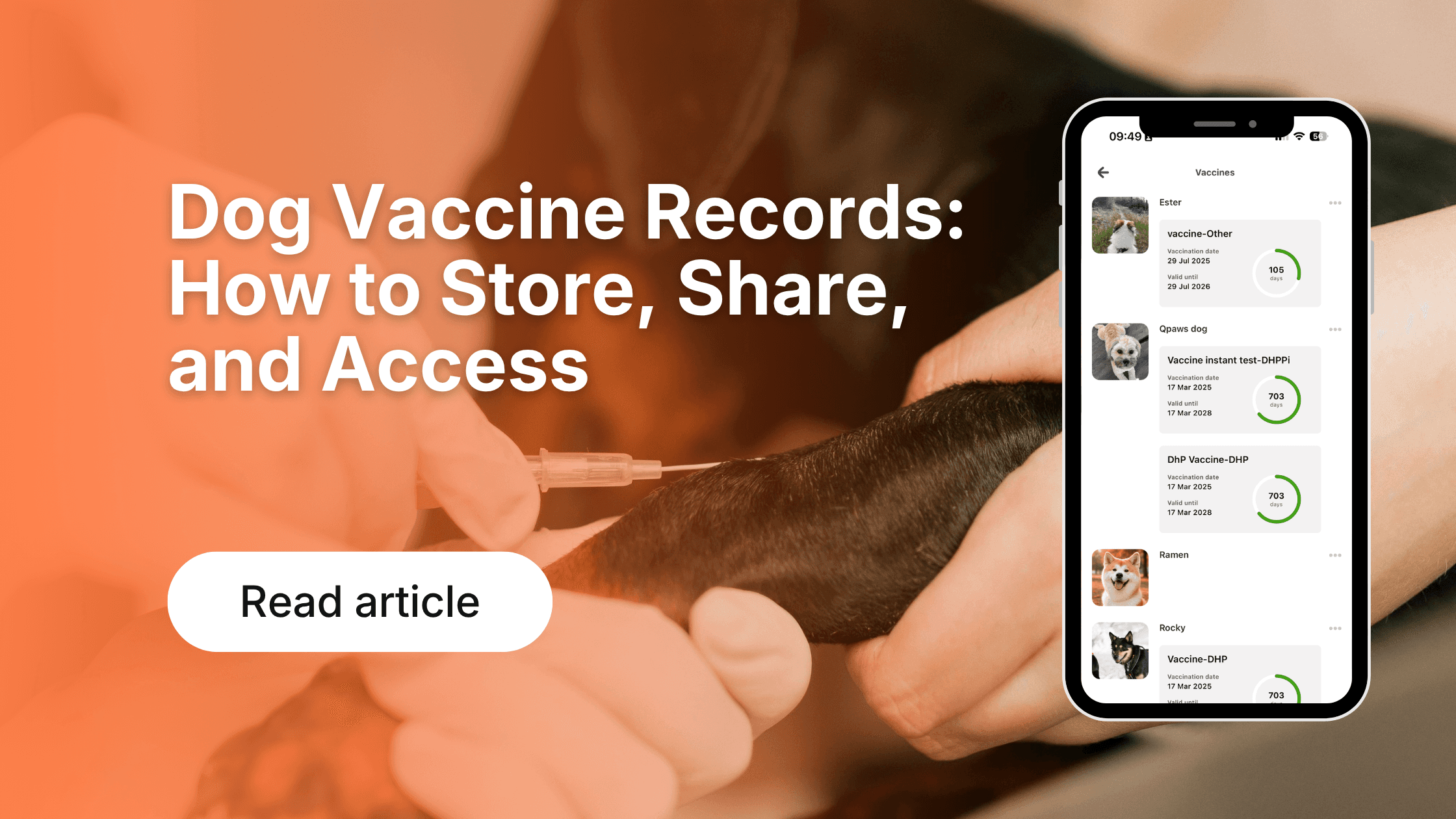 Dog Vaccine Records: How to Store, Share, and Access