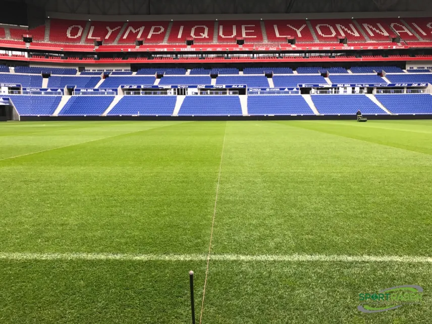 Platz 7: unregelmässiger Rasenschnitt