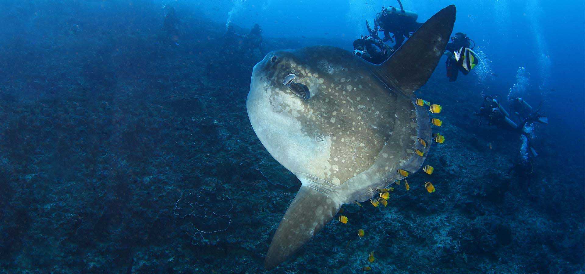 a pool with a table and chairs next to it
